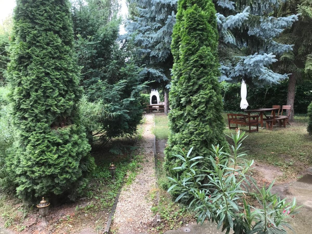Platanus Vendeghaz Zamardi Bed & Breakfast Екстериор снимка